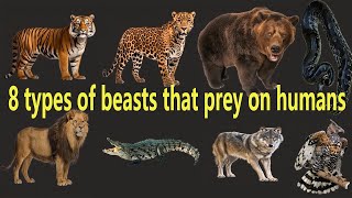 8 types of beasts that prey on humans [upl. by Mckale]