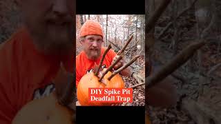 Deadly Spike Pit Deadfall Trap shorts [upl. by Drarreg]