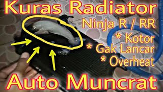 Cara Bersihkan Radiator Ninja RRR Agar Tidak Mudah Overheat [upl. by Pascasia706]