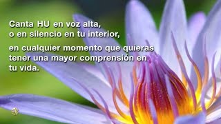 Eckankar Los milagros en tu vida quotMiracles in Your Lifequot in Spanish [upl. by Narruc]