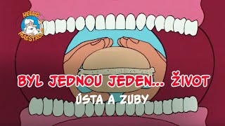 Byl jednou jeden život 🌱 Ústa a zuby 🦷 [upl. by Gillette]