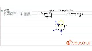 Cytidine is a  11  BIOMOLECULES  BIOLOGY  NCERT FINGERTIPS  Doubtnut [upl. by Delia]