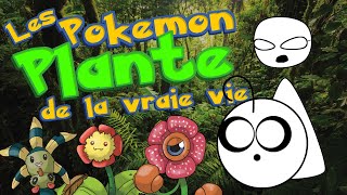 Point Culture  les Pokémon PLANTE de la vraie vie [upl. by Sissie151]