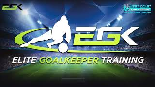 Elite Goalkeeper Training  Training Posture Timing and Efficiency of Reactions [upl. by Marj]