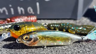 The Best Bait Finesse BFS Tricks For Spring Bass Fishing [upl. by Brynne]