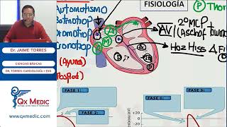 Resumen de Fisiología Cardíaca [upl. by Bergh]