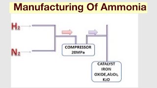 Habers ProcessManufacturing Of Ammonia [upl. by Arikihs]