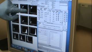 BD FACS Calibur Cell Quest Training 2012 May 31 Full length [upl. by Varuag]