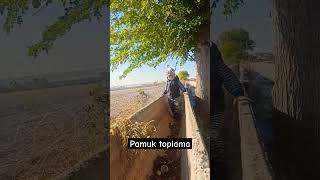 Pamuk fypシ゚viral benionecika kesfet love benioneal pamuk [upl. by Pain856]