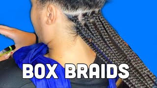 Traditional Medium Box Braids  Neat Box Braids [upl. by Ronnie]