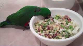 Making Eclectus Parrot Dinner Parrot Mash [upl. by Beverley]