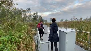 Wandel TV  Oostwaardpad nabij de Biesbosch  23 KM [upl. by Dempsey917]