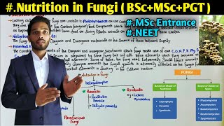 Nutrition in Fungi  Classification of Fungi on the Basis of Nutrition  BSc  MSc  PGT Biology [upl. by Artemas]