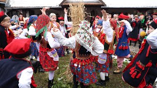 Osadzanie chochoła w Bronowicach [upl. by Annaik]