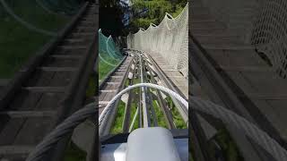 The Longest Roller Coaster in Switzerland Keeps Going Pradaschier Rodelbahn YouTubeCreatorCommunity [upl. by Ikcim698]