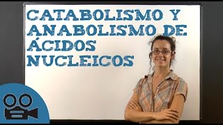 Catabolismo y anabolismo de ácidos nucleicos [upl. by Namara]