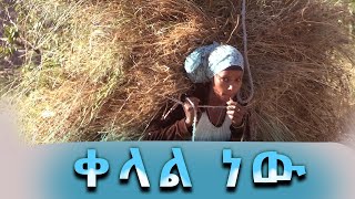 ethiopia የአውራ አምባ ማህበረሰብ በኅበረት ተሰባስቦ ሲሰራ Awra Amba community Ethiopia [upl. by Aihsitan]