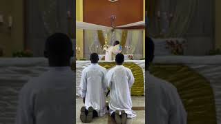 Benediction of the blessed Sacrament music catholicnews choir bigard catholicmass seminary [upl. by Wiburg]