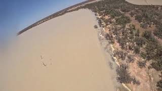 East Australian Waterbird Survey Day 4 4th October 2024 – Lake Dunn [upl. by Jesher833]