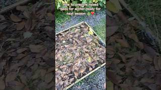 How to prepare your raised beds in autumn for next season howto raisedbedgardening garden garden [upl. by Osei176]