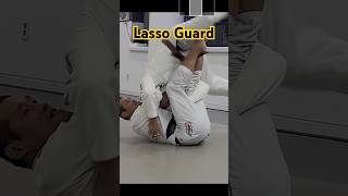 Lasso Guard LassoGuard [upl. by Eittap]