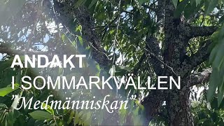 Andakt i sommarkvällen 24 augusti [upl. by Countess]