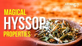 Magical Properties of Hyssop [upl. by Arev]