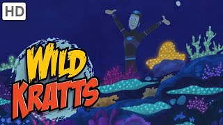 Wild Kratts  Creatures of the Caribbean [upl. by Manuel]