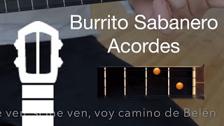 Burrito Sabanero  Canta con el Cuatro [upl. by Nahtiek490]