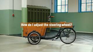 How do I adjust the steering wheel of my trike [upl. by Oswal]