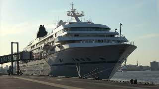 4K MS Amadea wunderschönes Anlegemanöver am frühen morgen in Hamburg 02052024 [upl. by Euqnimod306]