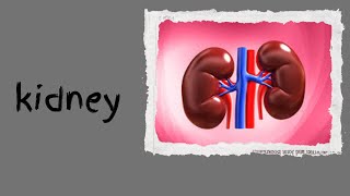 113BIOCHEMISTRY OF RENAL DISORDERS pathophysiology [upl. by Naillig]