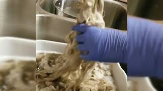 How to clean and Dye angora goat fiber [upl. by Thurmond]