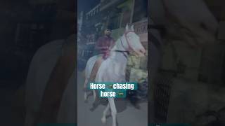 Horse chasing horse 😎😎😎shorts [upl. by Yemrej]