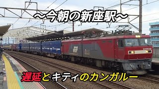 2024522 武蔵野線【新座駅】【EH500】【金太郎】【キティちゃん】【遅延】〜今朝の新座駅〜 遅延とキティのカンガルー [upl. by Dusza679]