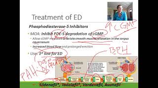 Pharmacology Urologic Disorders [upl. by Hegyera610]