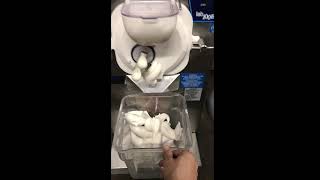 Carpigiani LB100 Gelato Ice Cream Machine Mix Test [upl. by Asiram]