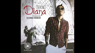 Tekno  Diana Official Music Video [upl. by Atekehs]