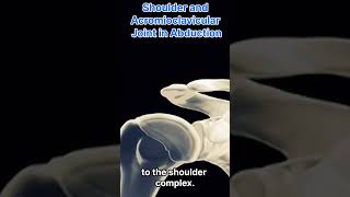 Shoulder and Acromioclavicular in Abduction [upl. by Attesor904]