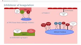 Fibrinolyse og Inhibering af koagulation [upl. by Aitnas344]