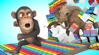 Funny Monkey run over walls  Best funnies video cartoon for kid [upl. by Nwahsad53]