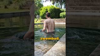 Zwemmen in het Zwembad van een Miljonair🏊‍♂️ [upl. by Rossner]