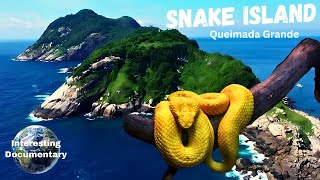 Snake Island  One of the Most Dangerous Places on our Planet [upl. by Tiffy139]