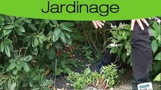 Désherbage du jardin  La technique [upl. by Erena]