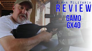 Gamo GX40 Review amp Accuracy Test  quotVery affordable good quality riflequot [upl. by Notecnirp293]