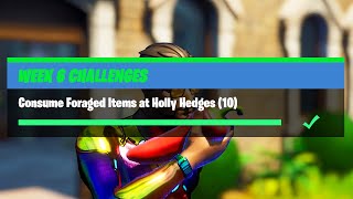 Consume Foraged Items at Holly Hedges 10 All Locations  Fortnite Week 6 Challenges [upl. by Eceirtal925]