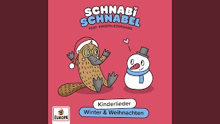 Schneemann Schneemann wie siehst du aus [upl. by Kessel105]