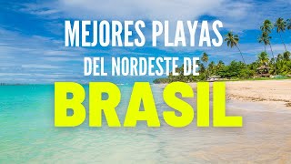 2023 Las MEJORES PLAYAS 🏖️🌴del NORDESTE DE BRASIL 🐚🇧🇷 [upl. by Kev50]