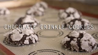 DELICIOUS Chocolate Crinkle Cookies Recipe [upl. by Beuthel]