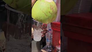 How Coconut Water Made factsinhindi facts shorts [upl. by Dlorad353]